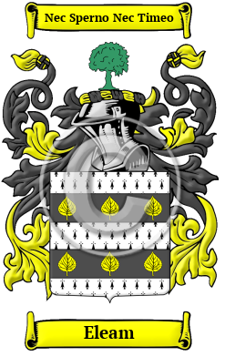 Eleam Family Crest/Coat of Arms