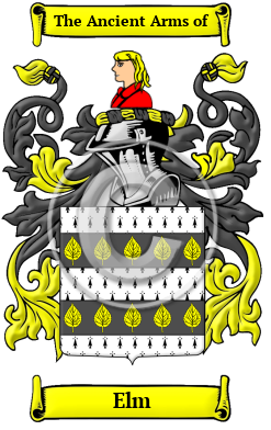 Elm Family Crest Download (JPG) Heritage Series - 600 DPI