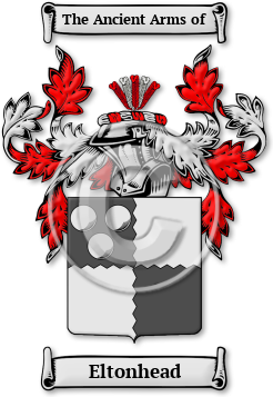 Eltonhead Family Crest Download (jpg) Legacy Series - 150 DPI
