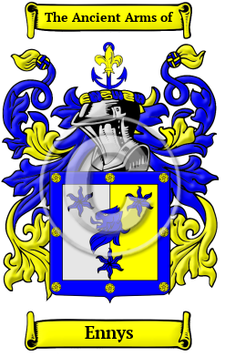 Ennys Family Crest/Coat of Arms