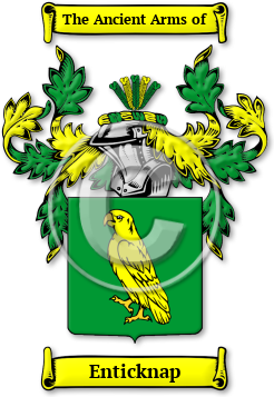 Enticknap Family Crest Download (jpg) Legacy Series - 150 DPI