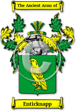 Enticknapp Family Crest Download (JPG) Legacy Series - 600 DPI