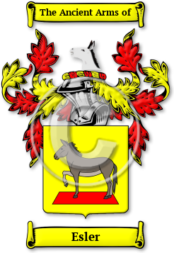 Esler Family Crest Download (JPG) Legacy Series - 600 DPI