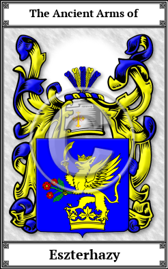 Eszterhazy Family Crest Download (JPG) Book Plated - 600 DPI