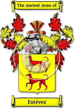 Estévez Family Crest Download (jpg) Legacy Series - 150 DPI