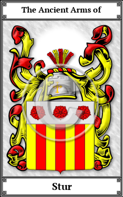 Stur Family Crest Download (JPG)  Book Plated - 150 DPI