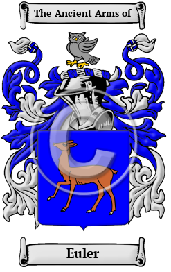 Euler Family Crest Download (JPG) Heritage Series - 600 DPI