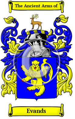 Evands Family Crest/Coat of Arms