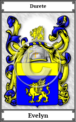 Evelyn Family Crest Download (JPG)  Book Plated - 150 DPI