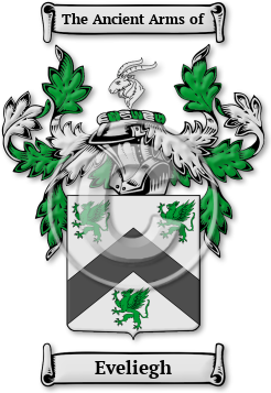 Eveliegh Family Crest Download (jpg) Legacy Series - 150 DPI