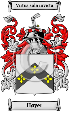 Høyer Family Crest/Coat of Arms