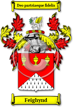 Feighynd Family Crest Download (jpg) Legacy Series - 150 DPI