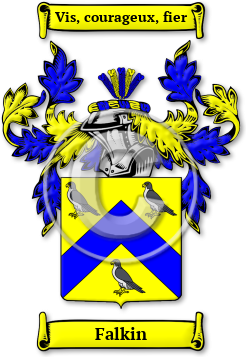 Falkin Family Crest Download (jpg) Legacy Series - 150 DPI