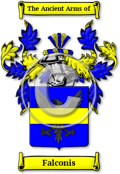 Falconis Family Crest Download (jpg) Legacy Series - 150 DPI