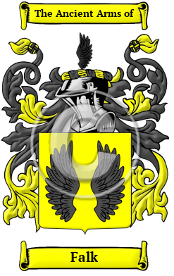 Falk Family Crest Download (JPG) Heritage Series - 600 DPI