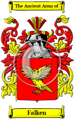 Falken Family Crest Download (JPG) Heritage Series - 600 DPI