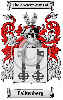 Falkenberg Family Crest Download (JPG) Heritage Series - 300 DPI
