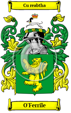 O'Ferrile Family Crest/Coat of Arms