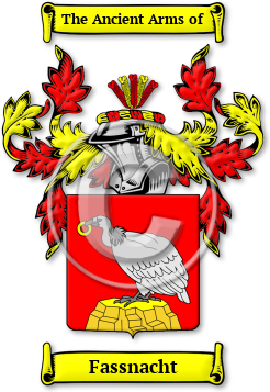 Fassnacht Family Crest Download (jpg) Legacy Series - 150 DPI
