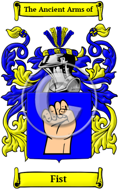 Fist Family Crest Download (JPG) Heritage Series - 600 DPI