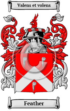 Feather Family Crest Download (JPG) Heritage Series - 600 DPI