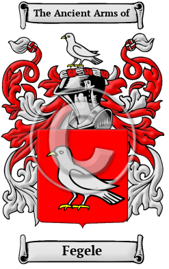 Fegele Family Crest Download (JPG) Heritage Series - 600 DPI