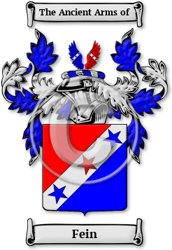 Fein Family Crest Download (JPG) Legacy Series - 600 DPI