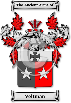 Veltman Family Crest Download (jpg) Legacy Series - 150 DPI