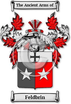 Feldbrin Family Crest Download (jpg) Legacy Series - 150 DPI