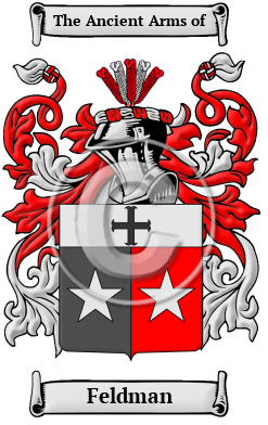 Feldman Family Crest Download (JPG) Heritage Series - 600 DPI