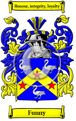 Funny Name Meaning, Family History, Family Crest & Coats of Arms