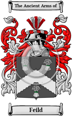 Feild Family Crest/Coat of Arms
