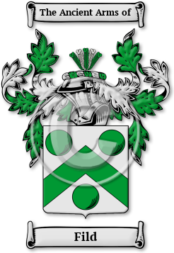 Fild Family Crest Download (jpg) Legacy Series - 150 DPI