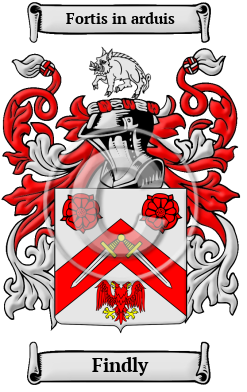 Findly Family Crest Download (jpg) Heritage Series - 150 DPI