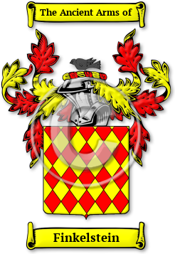 Finkelstein Family Crest Download (jpg) Legacy Series - 150 DPI