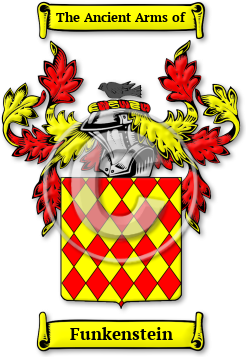 Funkenstein Family Crest Download (jpg) Legacy Series - 150 DPI