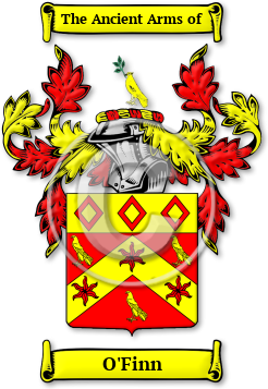 O'Finn Family Crest Download (JPG) Legacy Series - 600 DPI