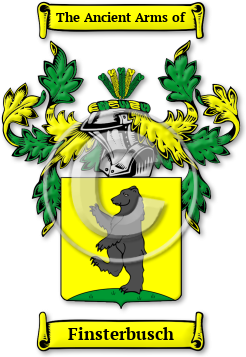 Finsterbusch Family Crest Download (jpg) Legacy Series - 150 DPI