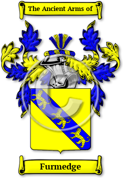 Furmedge Family Crest Download (jpg) Legacy Series - 150 DPI