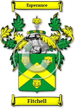 Fitchell Family Crest Download (jpg) Legacy Series - 150 DPI