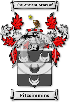 Fitzsimmins Family Crest Download (jpg) Legacy Series - 150 DPI
