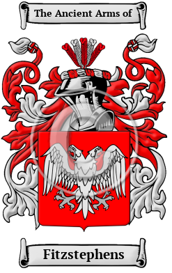 Fitzstephens Family Crest/Coat of Arms