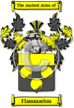 Flammarion Family Crest Download (jpg) Legacy Series - 150 DPI