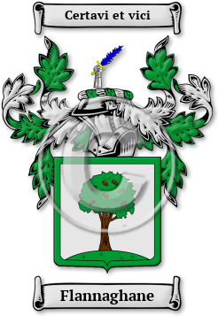 Flannaghane Family Crest Download (jpg) Legacy Series - 150 DPI
