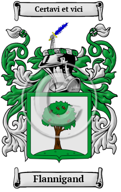 Flannigand Family Crest/Coat of Arms