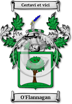 O'Flannagan Family Crest Download (jpg) Legacy Series - 150 DPI