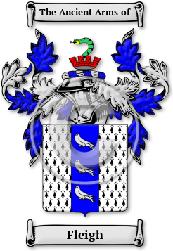 Fleigh Family Crest Download (JPG) Legacy Series - 600 DPI