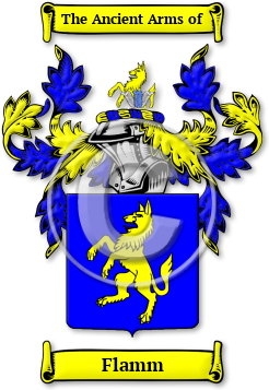 Flamm Family Crest Download (jpg) Legacy Series - 150 DPI