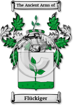 Flückiger Family Crest Download (jpg) Legacy Series - 150 DPI