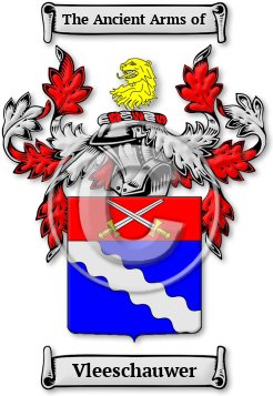 Vleeschauwer Family Crest Download (JPG) Legacy Series - 600 DPI